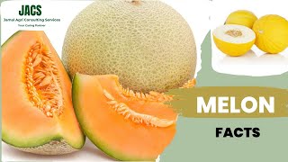 Sweet Melon Cucumis melo Facts [upl. by Zoila]