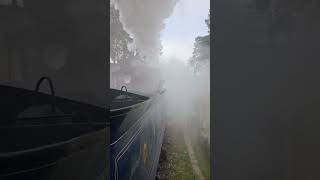 Caledonian Railway 828 arriving at Groombridge Jan 2024 [upl. by Sell]