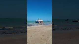 DIA DE PRAIA  Cabedelo PB youtubeshorts praia paraiba beach travel shorts barco [upl. by Woehick]