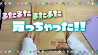 【手帳時間】気になる手帳をまたまた購入！！ システム手帳 声アリ [upl. by Tu307]