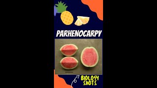 Parthenocarpy  seedless fruits  biologyshorts  shorts [upl. by Bradley]