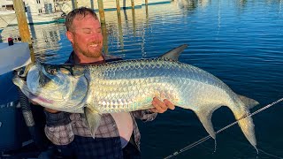 Fishing for Tarpon from the Dock [upl. by Anaylil]