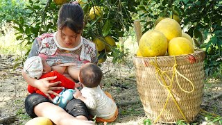 The single mom raised her two children with her own milk Harvest grapefruit goes to the market sell [upl. by Elakram]