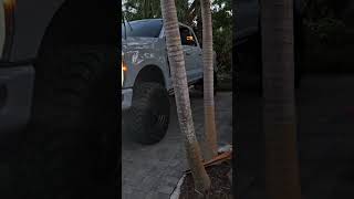 F250 Super Duty on 38s ford liftedtrucks [upl. by Megargee296]