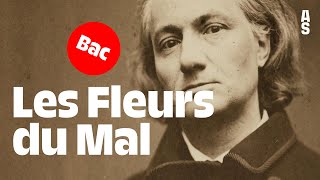 Les Fleurs du Mal Charles Baudelaire  Bac français 2024 [upl. by Edlun]