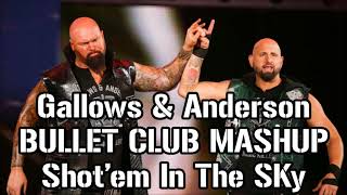 WWENJPW Mashup Gallows and Anderson amp Bullet Club  Shotem in the Sky by marquez768 [upl. by Harrus763]