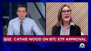 ARK Invest CEO Cathie Wood We believe that bitcoin is a public good [upl. by Nylinej]