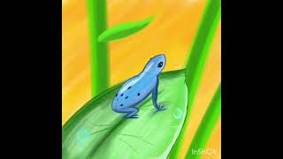 A frog you dont wanna 💋 frog frogs wildlife naturelovers poison blue coloredpencil forest [upl. by Divan]