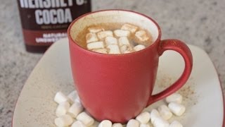 Best Homemade Hot Chocolate Recipe [upl. by Etnovad]