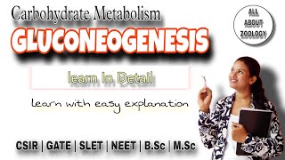 Carbohydrate Metabolism GLUCONEOGENESIS  Glucose Synthesis Pathway  Function  Biochemistry [upl. by Ille]