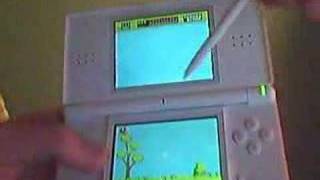 Duck Hunt on DS [upl. by Rimaj]