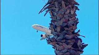 AZORES WONDER A321253N LANDING at Madeira Airport [upl. by Hanan]