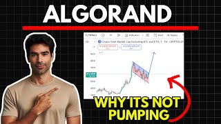 Why ALGORAND is not Pumping  Algorand Price Prediction [upl. by Barb]