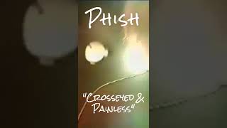 Phish  quotCrosseyed amp Painlessquot  21697  Alter Wartesaal  Cologne Germany phish livemusic [upl. by Hanima]