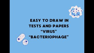 Easy to draw Virus Bacteriophage [upl. by Hoebart]