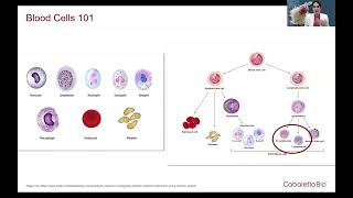 Realizing the CAR T Potential in Myositis amp Beyond [upl. by Harbison]