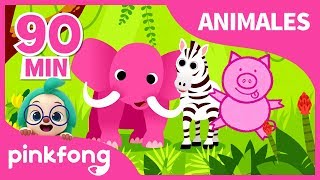 Canciones de Animales para Niños  Animales  Pinkfong Canciones Infantiles [upl. by Teague]