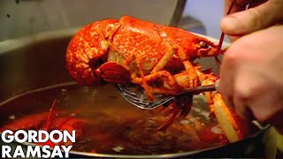 Cooking Lobster with Jeremy Clarkson  Gordon Ramsay [upl. by Anselma300]