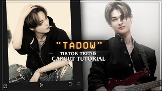 quotTADOWquot Tiktok trend capcut editing tutorial [upl. by Elehcim]