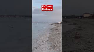 Es Trenc mallorca travelshorts nature spain sea travel urlaub malle beach photography [upl. by Booker]