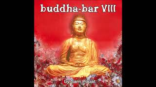 BuddhaBar VIII  CD2 [upl. by Divadleahcim616]