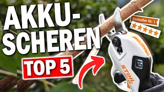 TOP 5 AKKUASTSCHEREN 2025 🔥  Die besten AkkuAstscheren für mühelose Gartenarbeit [upl. by Annawal]