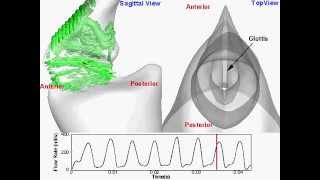 Understanding the Fundamental Mechanism of Voice Production [upl. by Enilada679]