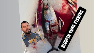 Bluefin tuna fishing on the thunderbird out of Newport landing [upl. by Esdras]