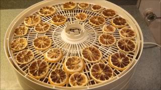 How to Dehydrate Lemons [upl. by Noiz]