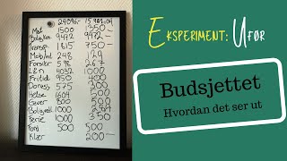 Eksperiment Ufør  Budsjettet [upl. by Atiuqcaj195]