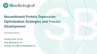 Recombinant Protein Expression Optimization Strategies and Process Development [upl. by Laven]