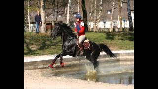 Impressionen Trakehner Perspektivlehrgang Vielseitigkeit 2016 [upl. by Collis]