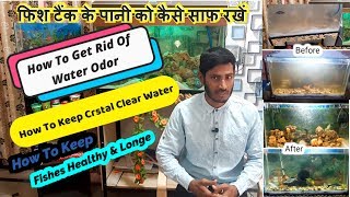 How to Keep CRYSTAL CLEAR water in your AQUARIUMS In Hindi [upl. by Tolley]