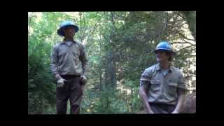 Why is Your Work Important In Spanish En Espanol and funny California Conservation Corps [upl. by Aikemehs480]