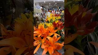 FEIRA DE FLORES HOLAMBRA SHOPPING TAMBIÁ shorts shopping joaopessoa [upl. by Eimile]