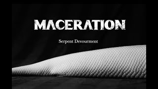 MACERATION  Serpent Devourment official video [upl. by Melamie]