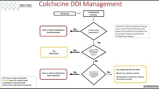 Colchicine CYP3A4  PGP inhibitors Decision Support Webinar Discussion [upl. by Ahsinyt585]