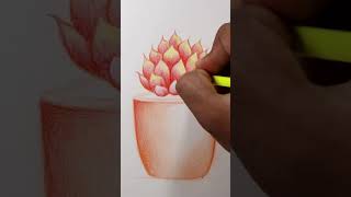 quotStepbyStep Fuldani Flower Drawing for Beginnersquot [upl. by Balcer]