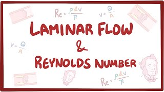 Laminar flow turbulence and Reynolds number [upl. by Mylo]