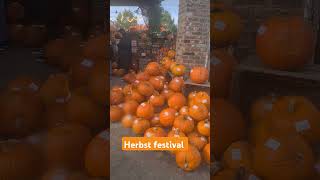 Pumpkin exhibition in 🇩🇪lifeingermany983 youtubeshorts [upl. by Aborn]