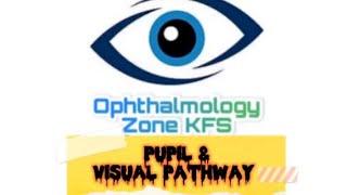 Chapter Neurophthalmology  Visual pathway and its lesions [upl. by Aver]