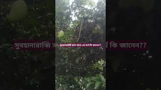 সুবহানারাব্বি আল আলা এর অর্থ কি জানেনmijanurrahmanazhari [upl. by Lothario482]