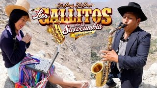 LOS GALLITOS DE LA SAXOCUMBIA 2024 AMOR POR INTERNET [upl. by Heurlin]