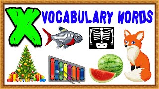 Vocabulary Words For Kids  Words From Letter X  Words That Start with X [upl. by Neddy]