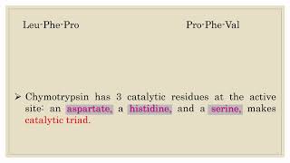 Mechanism of Action of Chymotrypsin [upl. by Annahaj443]