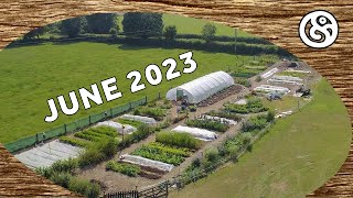 June 2023 Tour of our Market Garden and Food Forests [upl. by Lenad]