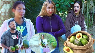 Esta mujer le robaba los aguacates a su vecina sin saber que pasaría esto [upl. by Devona500]