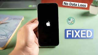 How to Fix iPhone Stuck on Apple Logo or Boot Loop No Data Loss  2023 [upl. by Demah715]