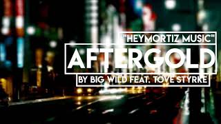 ♫ Aftergold by Big Wild ♫✘HeyMoritz Hintergrundmusik✘ [upl. by Ahseyt919]