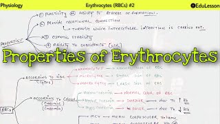 Physiology of Erythrocytes RBCs  27  Properties of RBC [upl. by Nevak160]